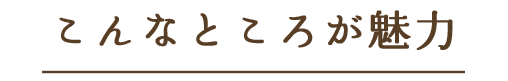 こんなところが魅力