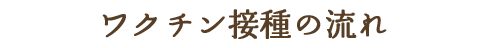 ワクチン接種の流れ